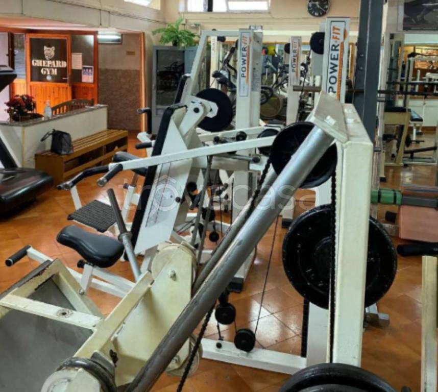 immagine annuncio 10 di 11