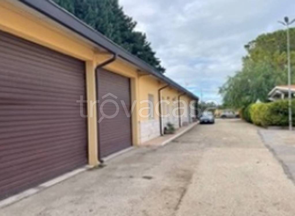 immagine annuncio 9 di 12