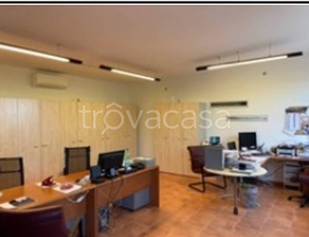 immagine annuncio 10 di 12