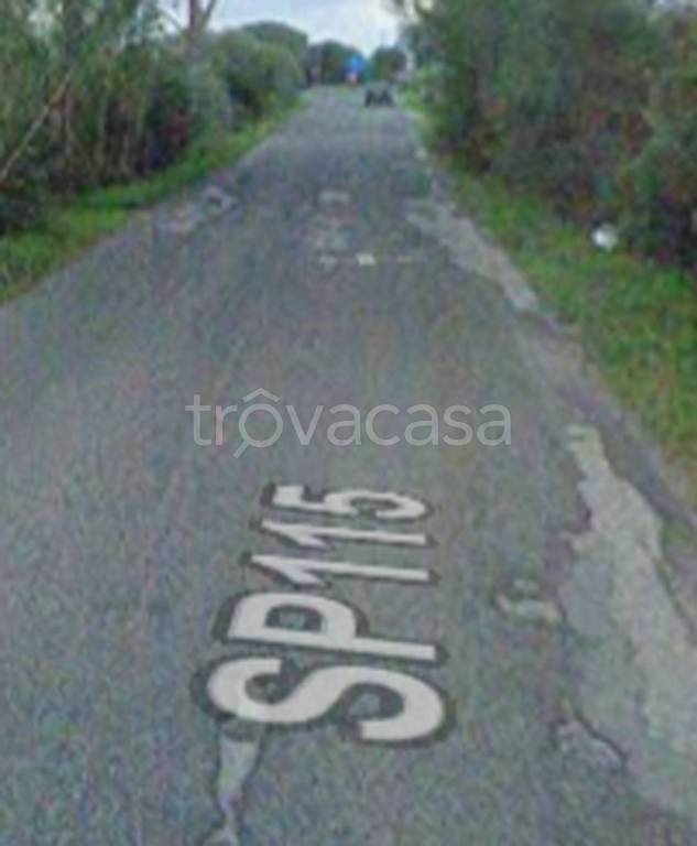 immagine annuncio 2 di 11