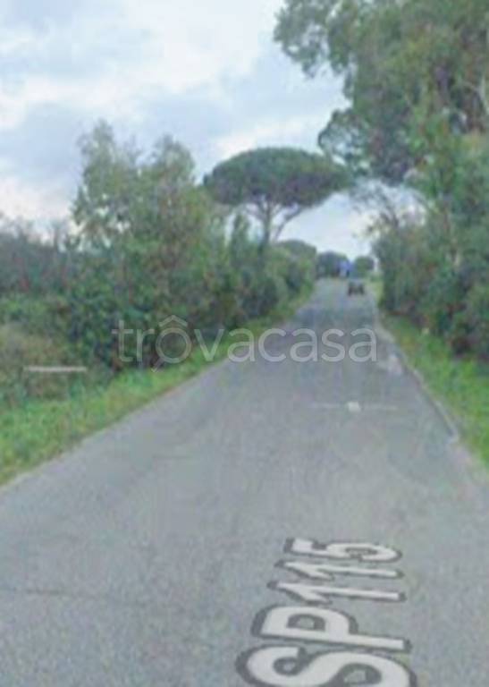 immagine annuncio 4 di 11