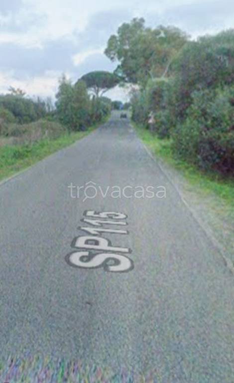 immagine annuncio 6 di 11