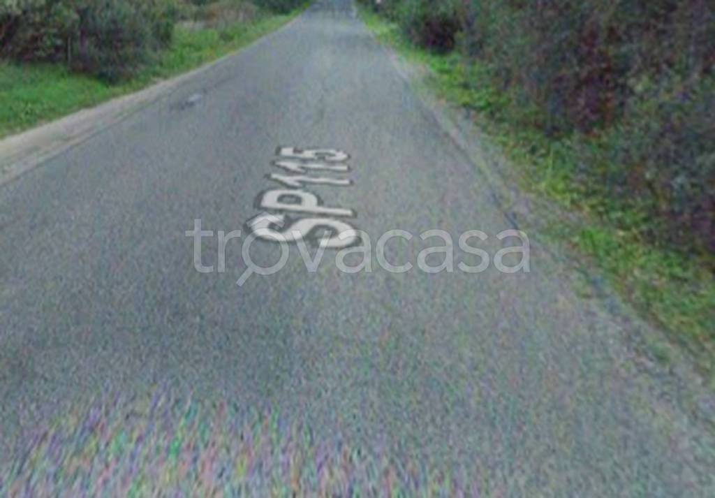 immagine annuncio 9 di 11