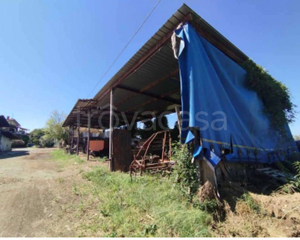 immagine annuncio 7 di 11