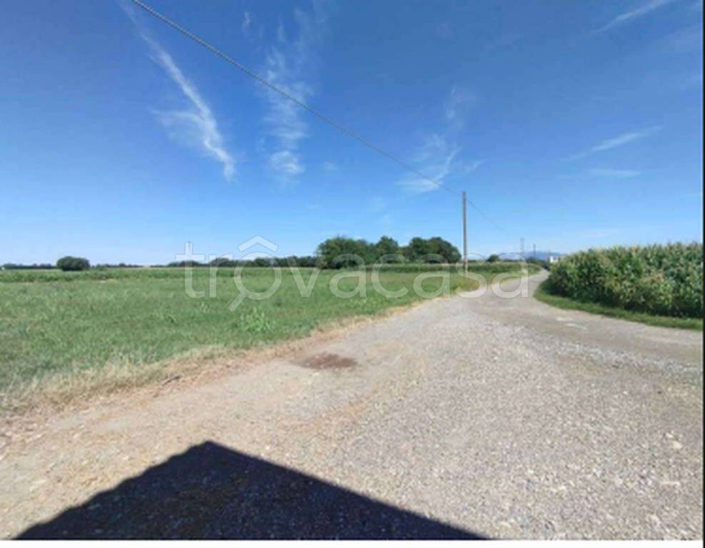 immagine annuncio 8 di 11