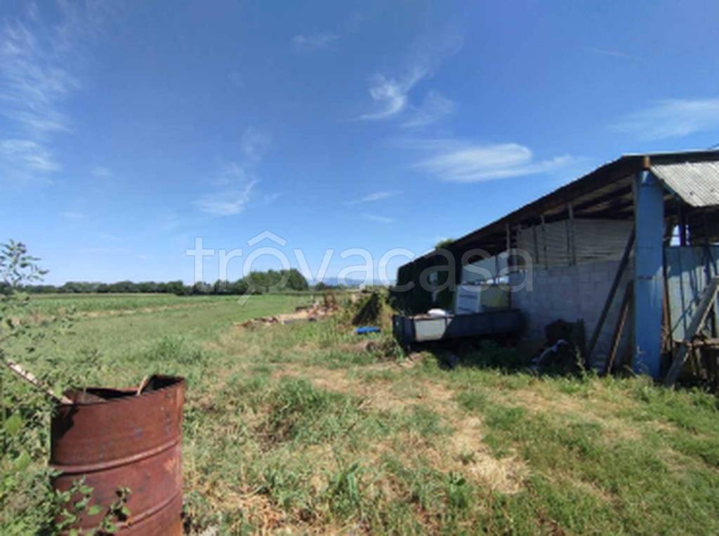 immagine annuncio 10 di 11