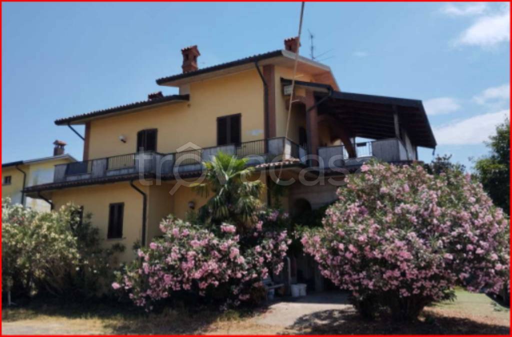 immagine annuncio 1 di 11