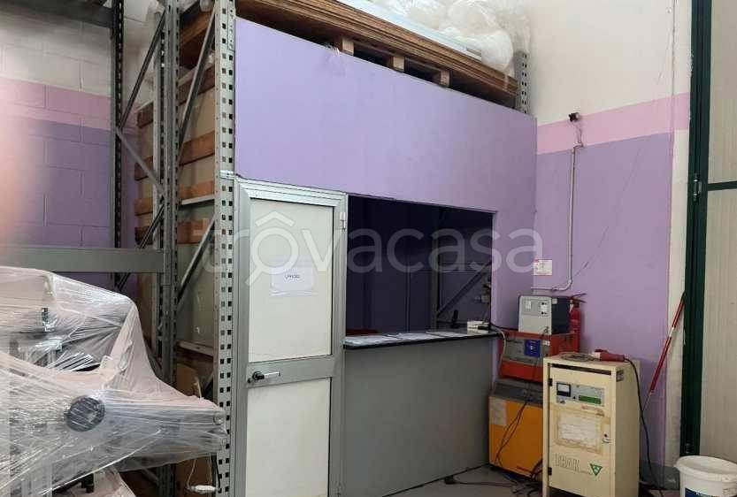 immagine annuncio 11 di 15