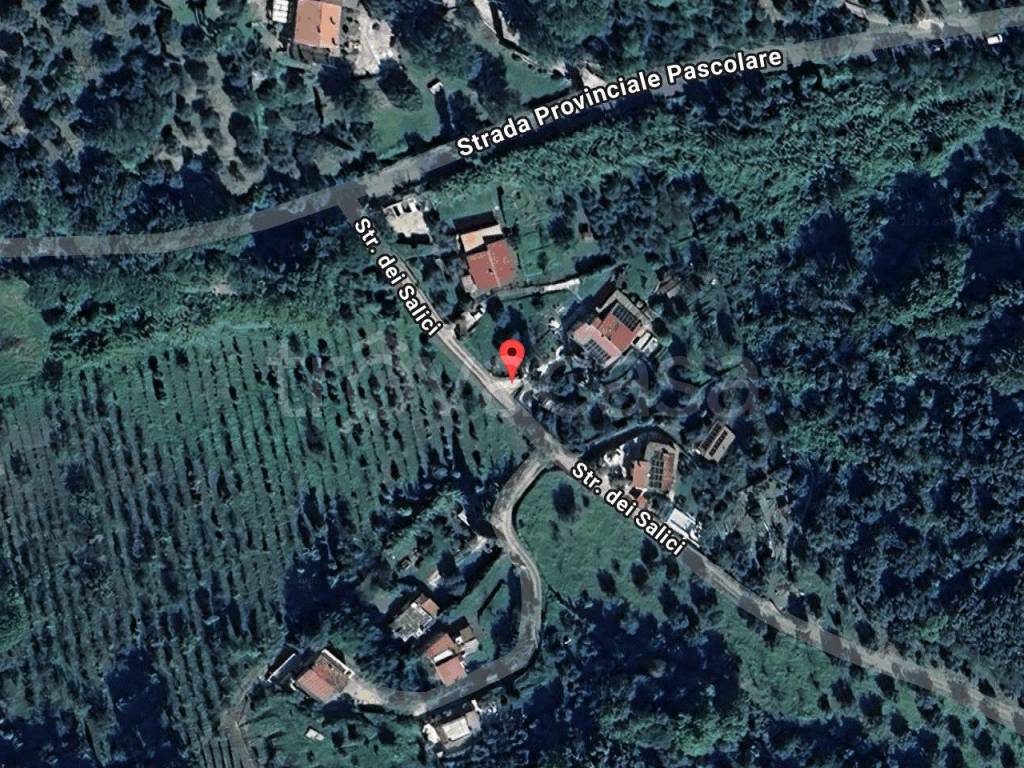 immagine annuncio 11 di 13