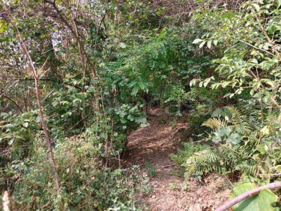 immagine annuncio 3 di 11