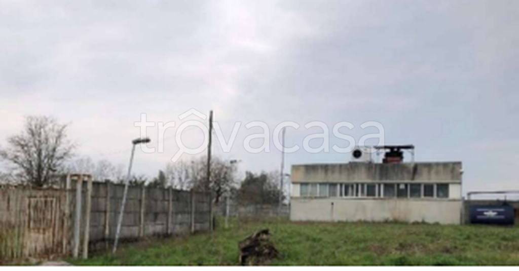 immagine annuncio 7 di 11