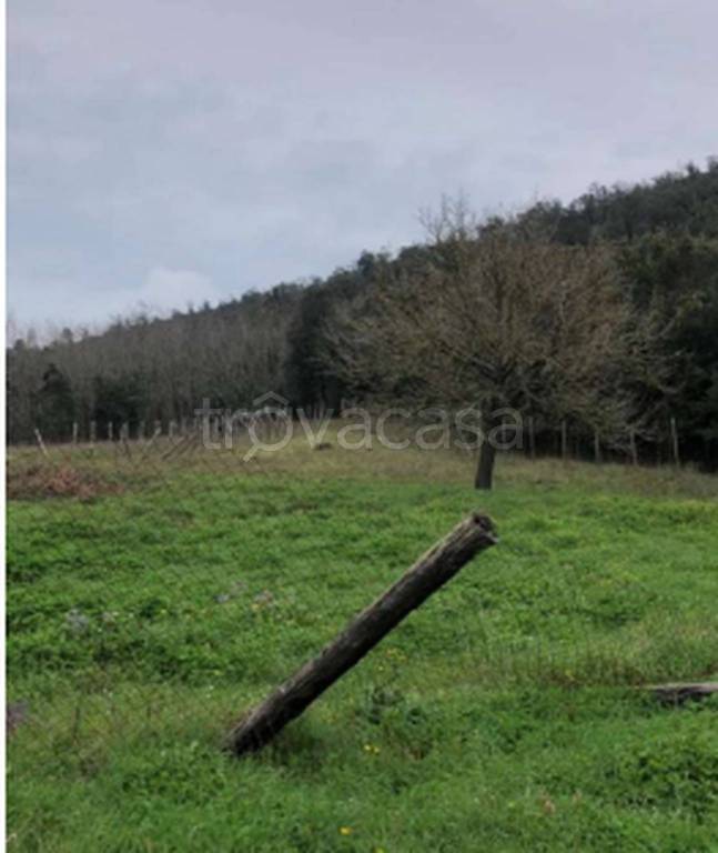 immagine annuncio 8 di 11