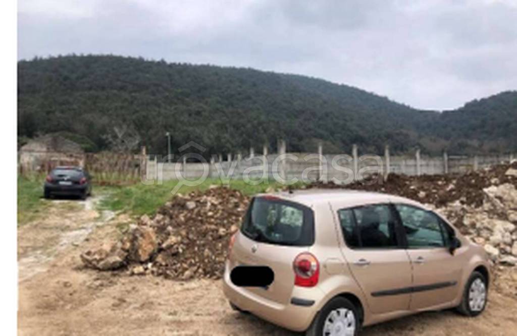 immagine annuncio 10 di 11