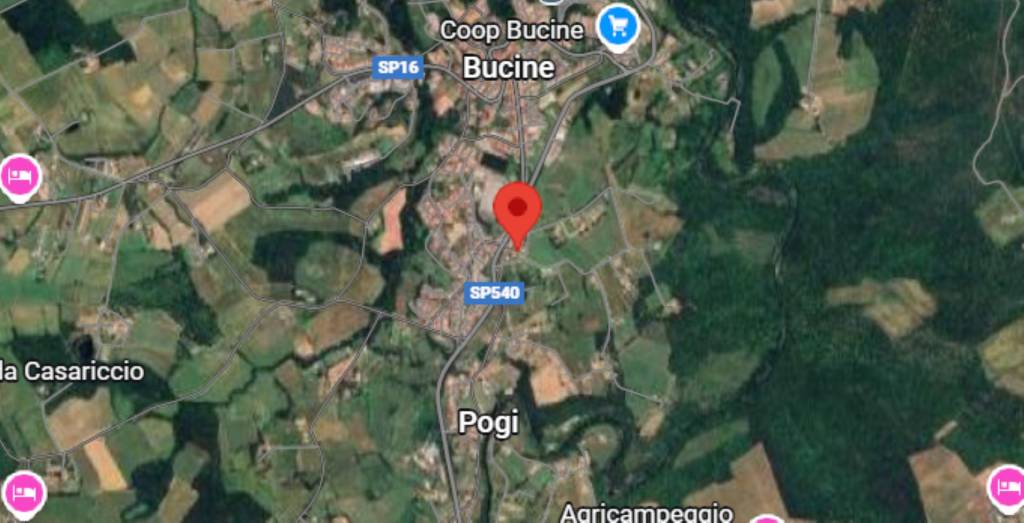 immagine annuncio 9 di 13