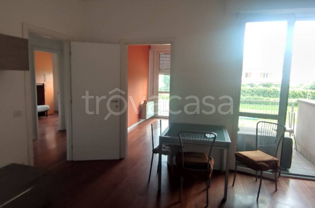 immagine annuncio 3 di 12