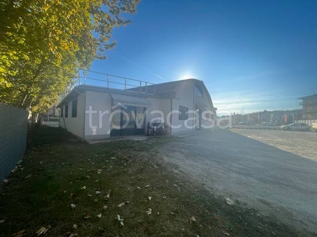 immagine annuncio 2 di 9