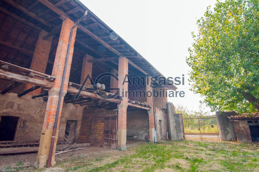 immagine annuncio 5 di 11