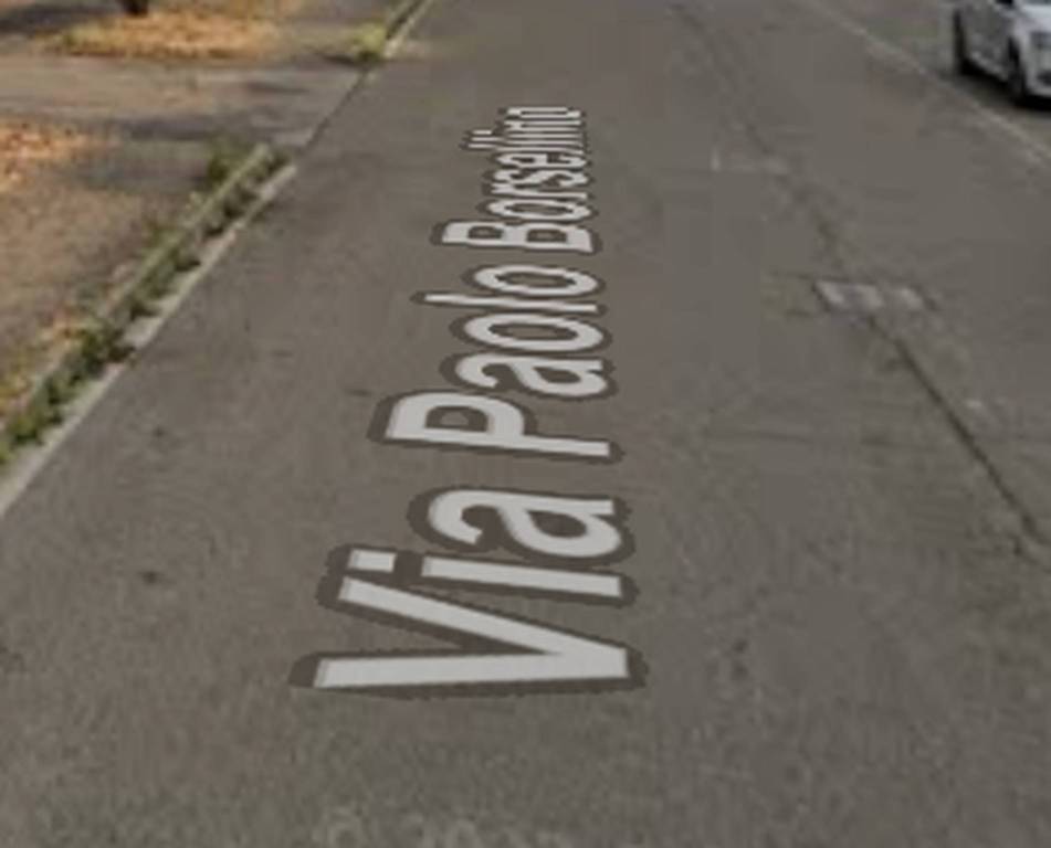 immagine annuncio 2 di 11