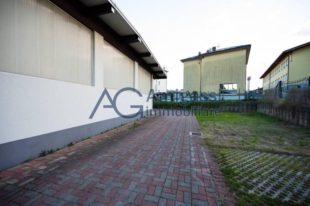 immagine annuncio 4 di 15