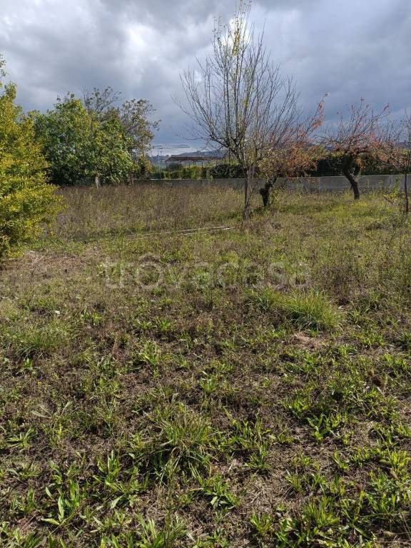 immagine annuncio 2 di 9