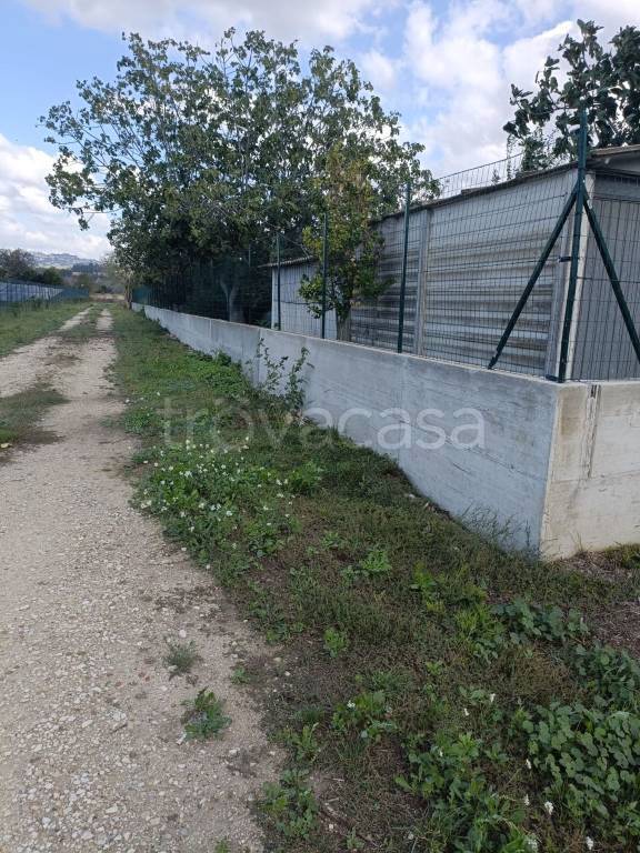 immagine annuncio 4 di 9