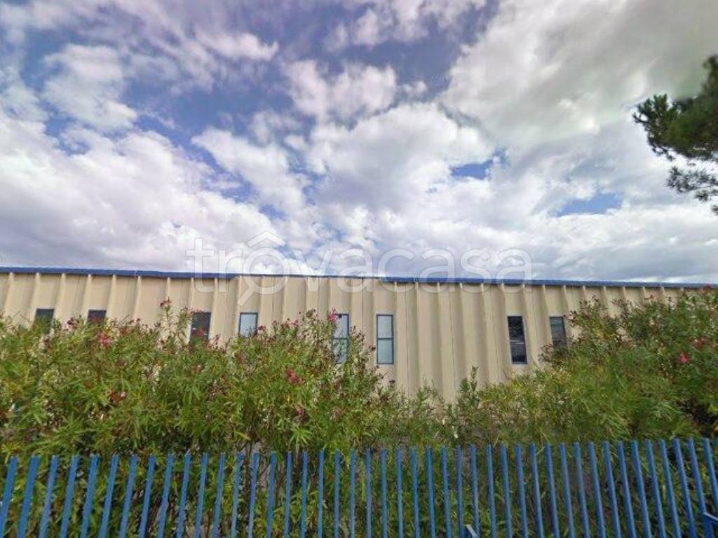 immagine annuncio 3 di 14