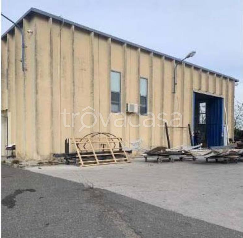 immagine annuncio 4 di 14