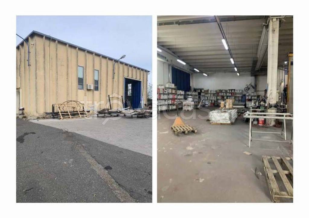 immagine annuncio 5 di 14