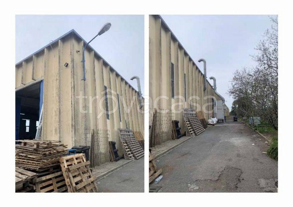 immagine annuncio 7 di 14