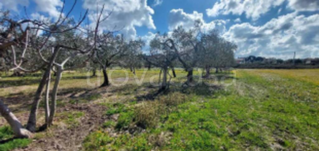 immagine annuncio 6 di 11