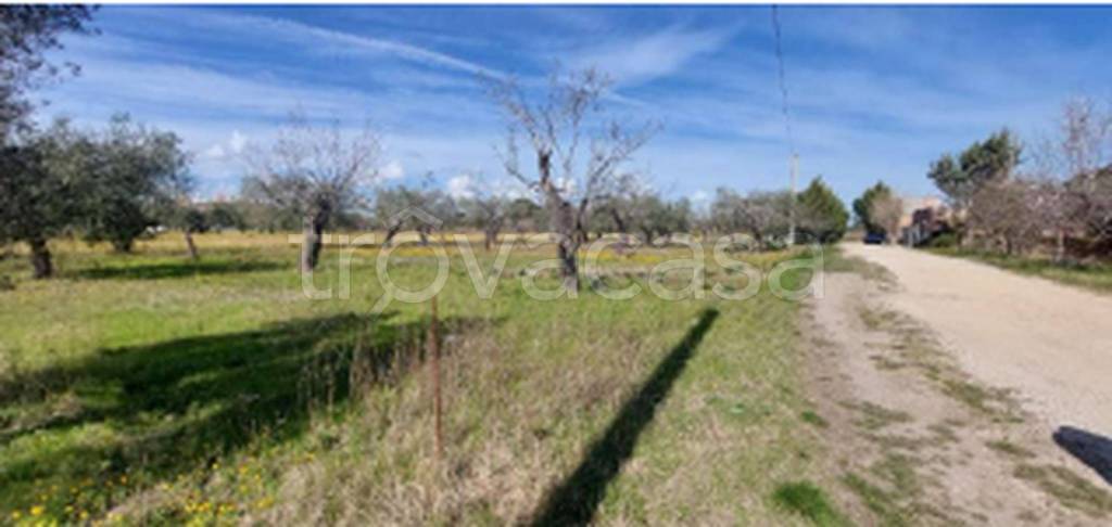 immagine annuncio 8 di 11