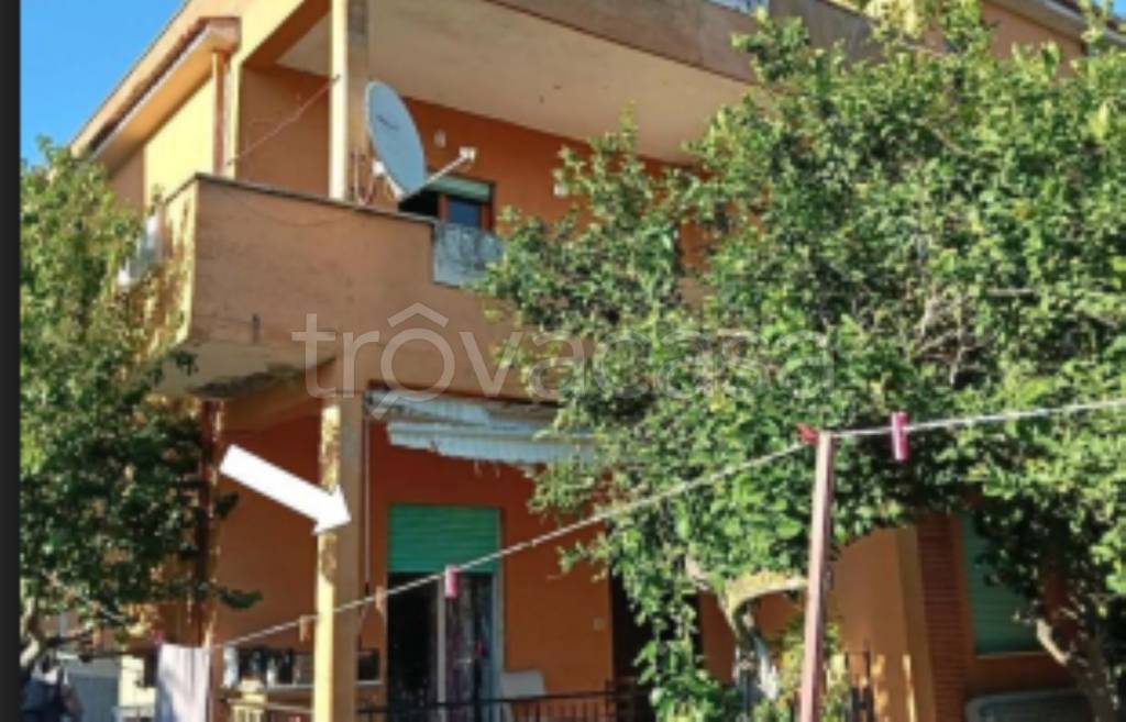 immagine annuncio 11 di 12