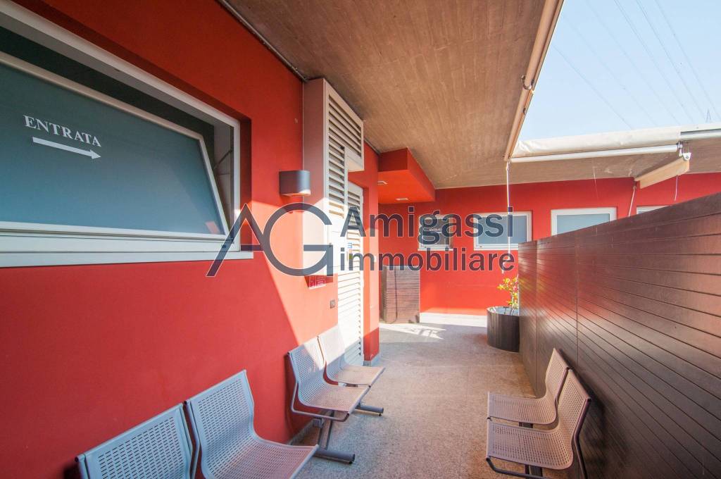 immagine annuncio 7 di 15