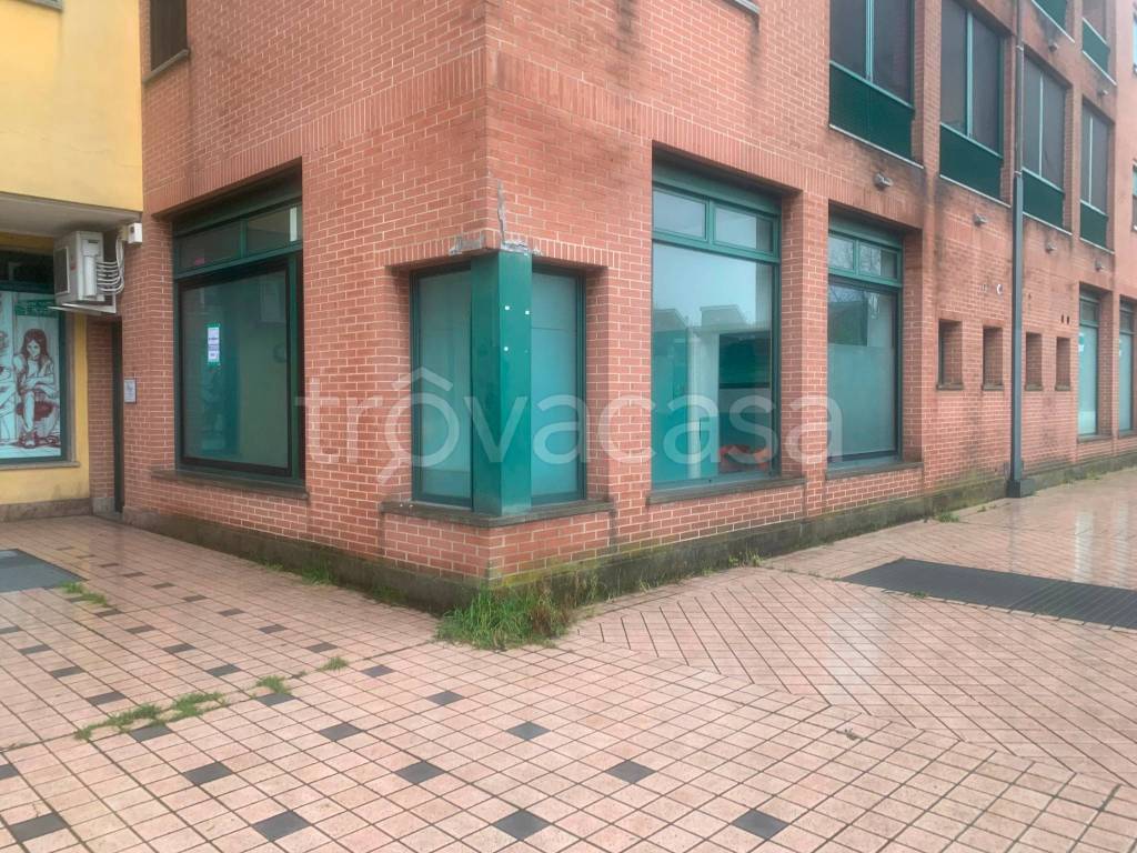 immagine annuncio 2 di 7