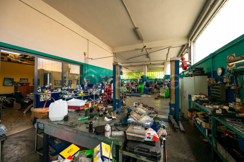 immagine annuncio 2 di 15