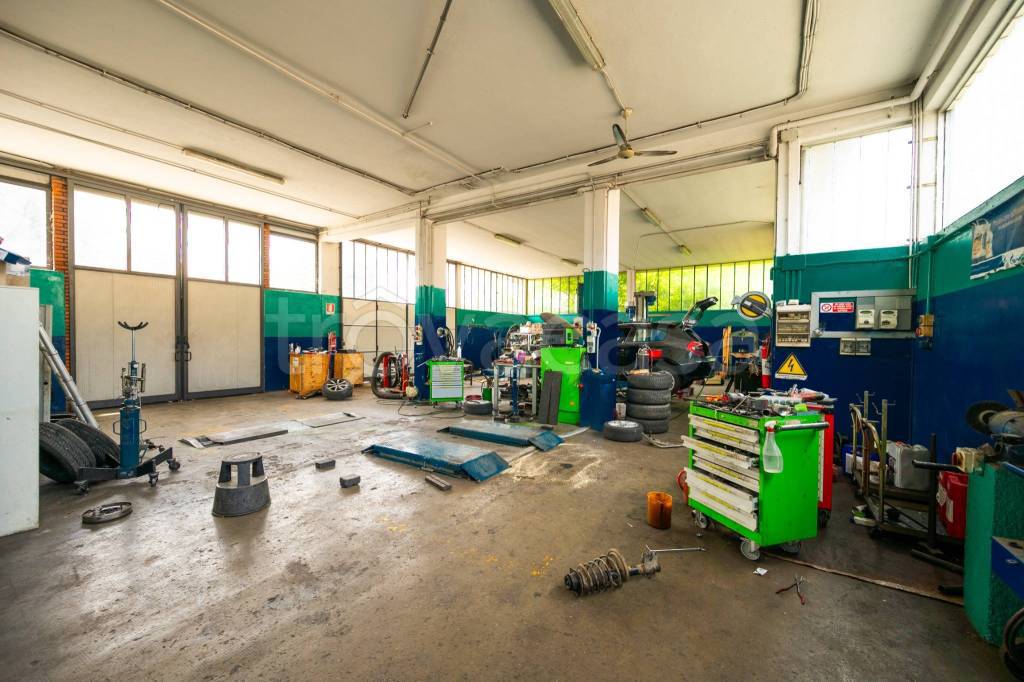 immagine annuncio 3 di 15