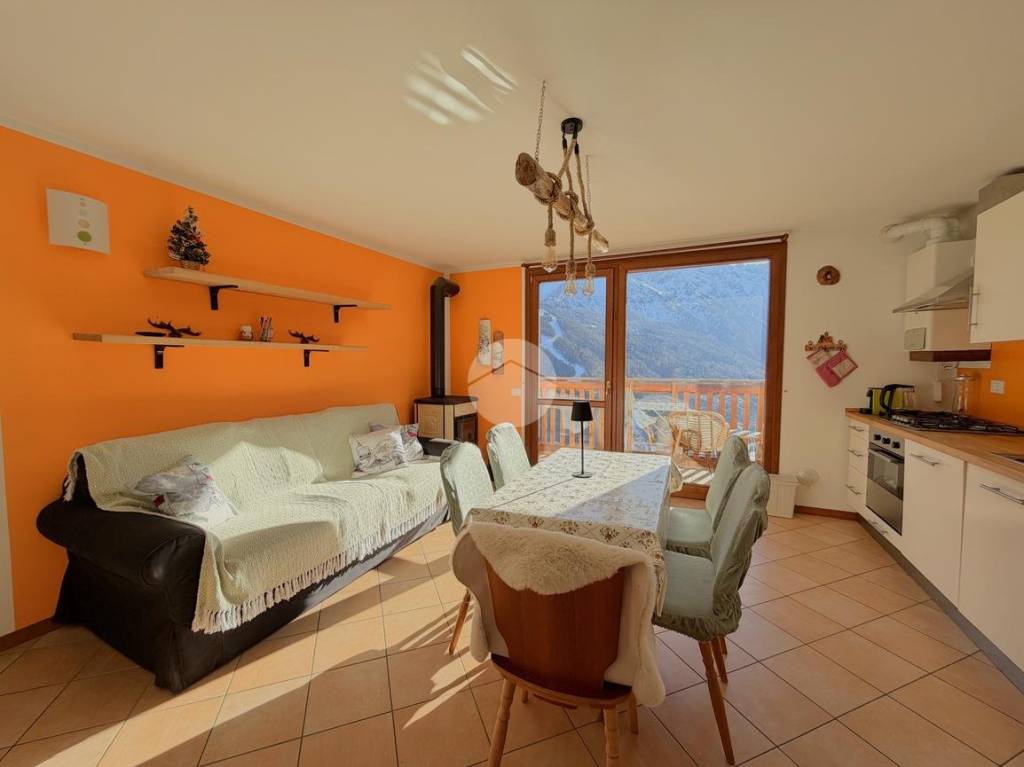 immagine annuncio 1 di 14