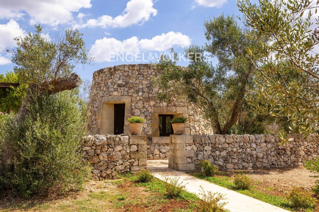 immagine annuncio 10 di 12