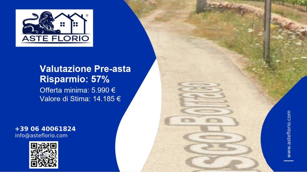 immagine annuncio 1 di 11