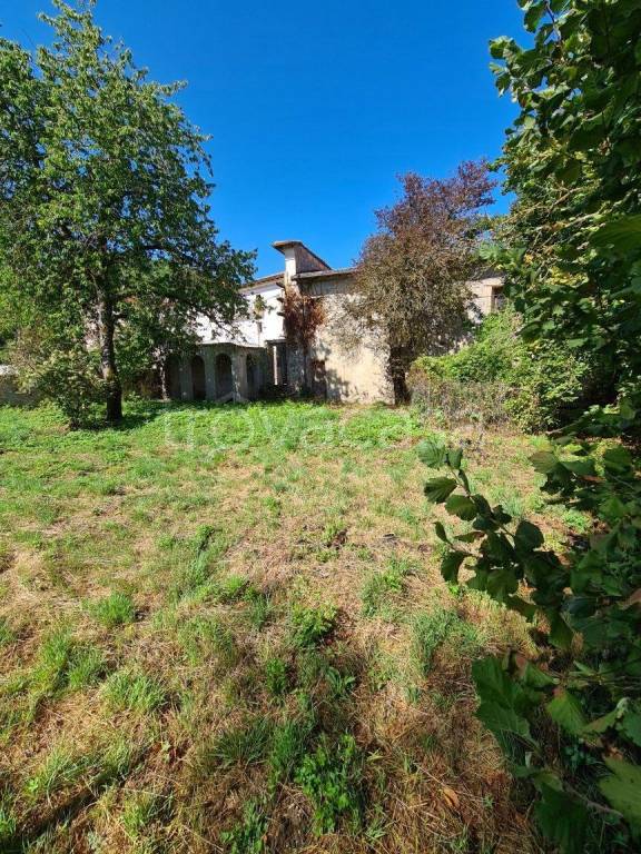 immagine annuncio 7 di 14