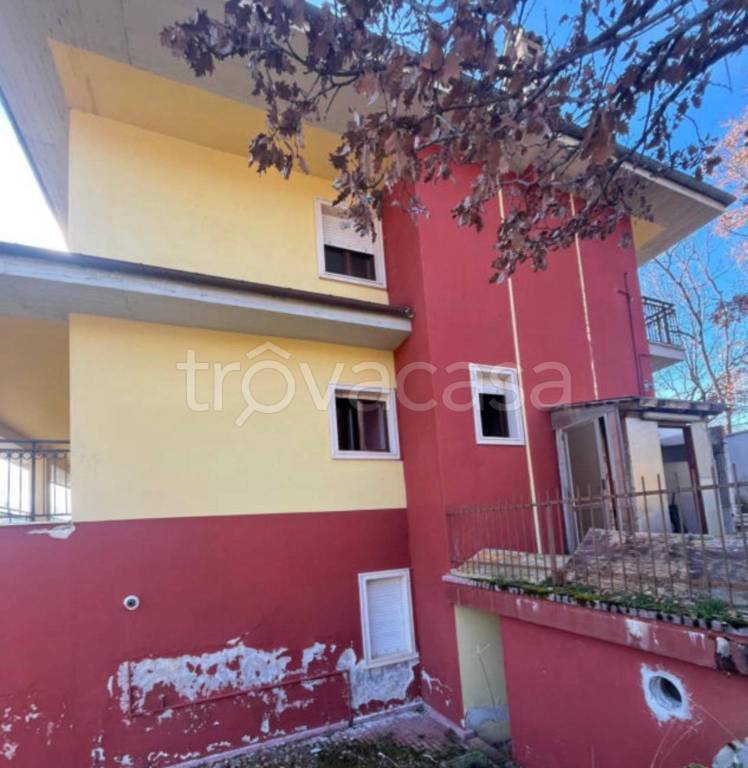 immagine annuncio 9 di 11