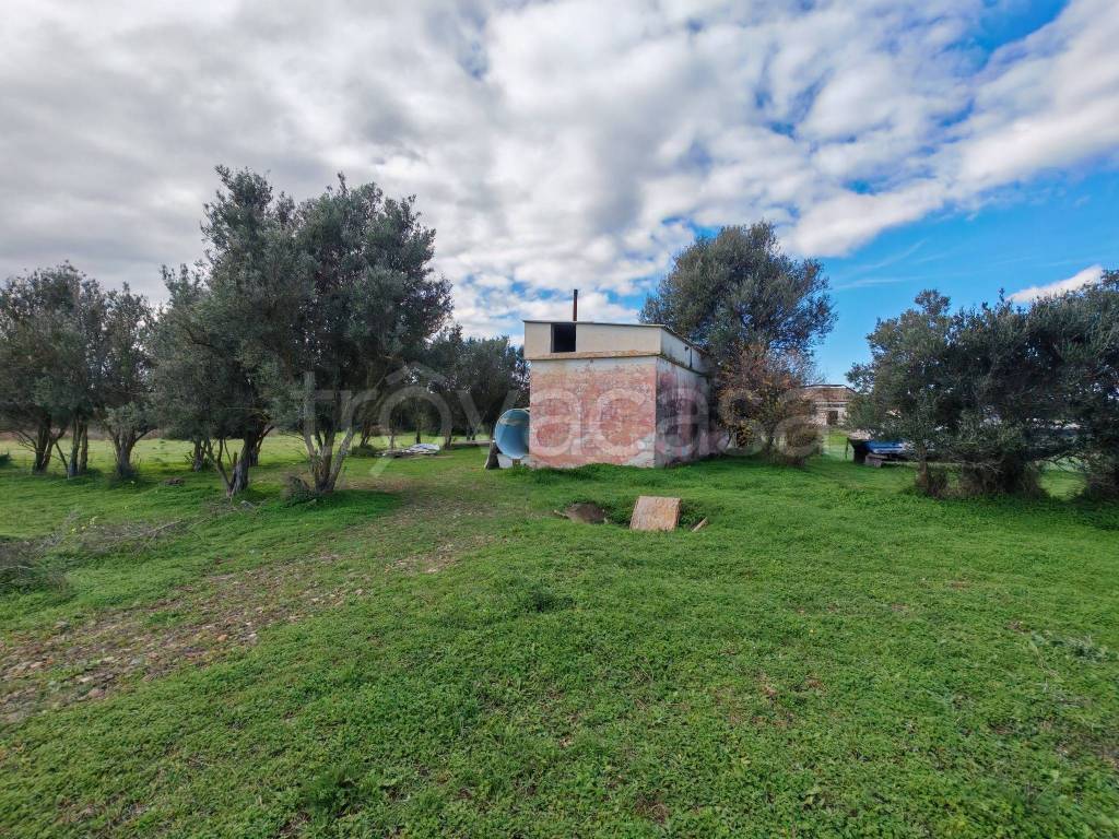 immagine annuncio 2 di 12