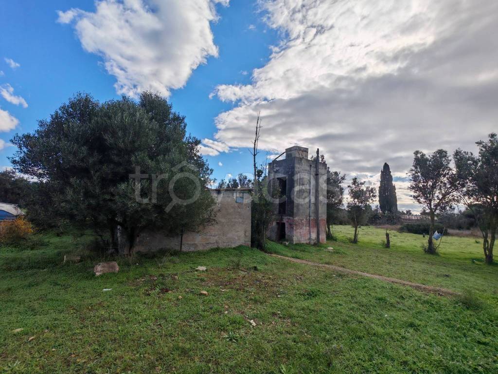 immagine annuncio 3 di 12