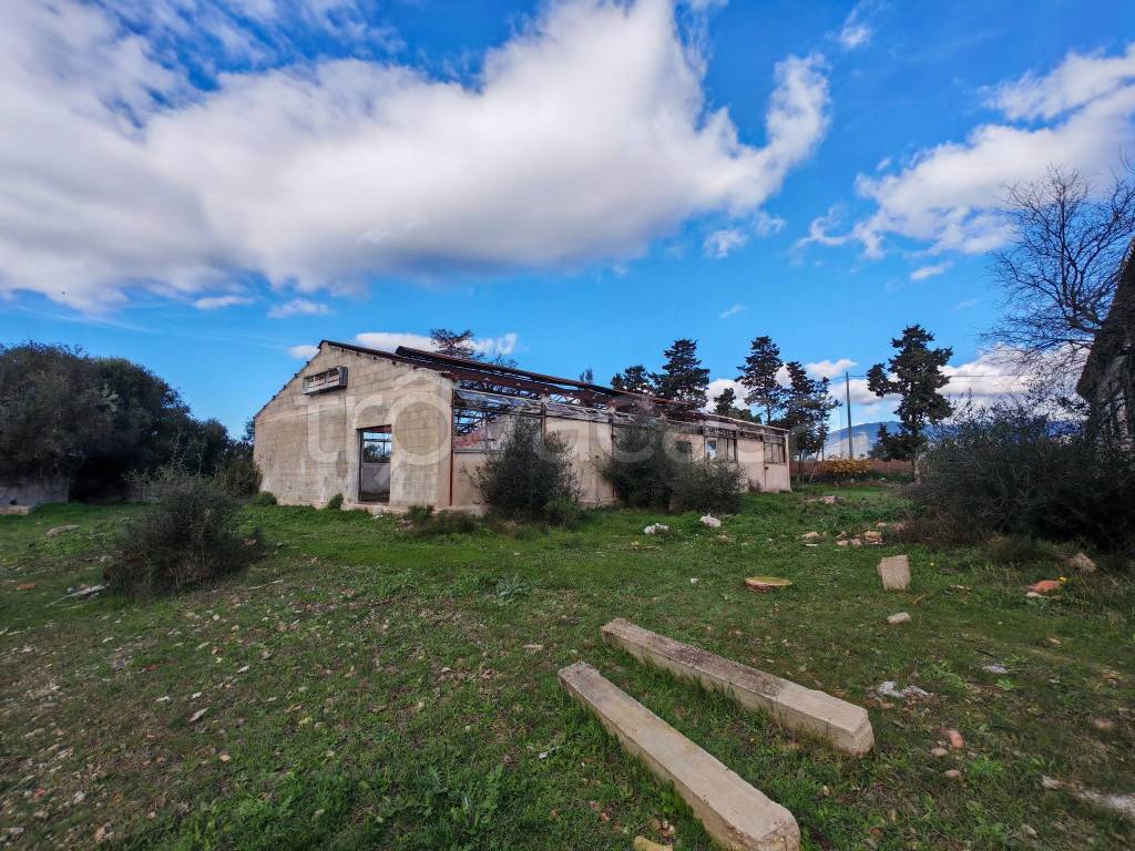 immagine annuncio 4 di 12