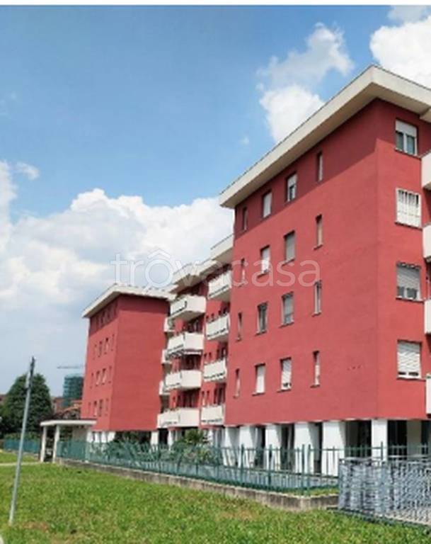 immagine annuncio 5 di 11