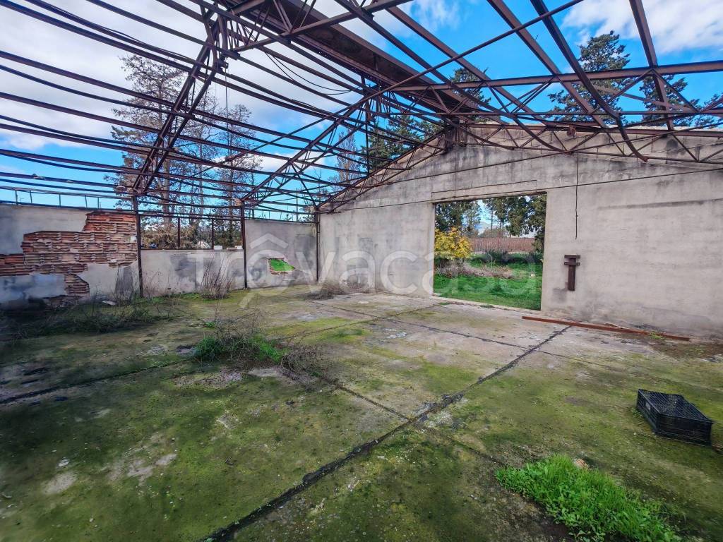 immagine annuncio 8 di 12