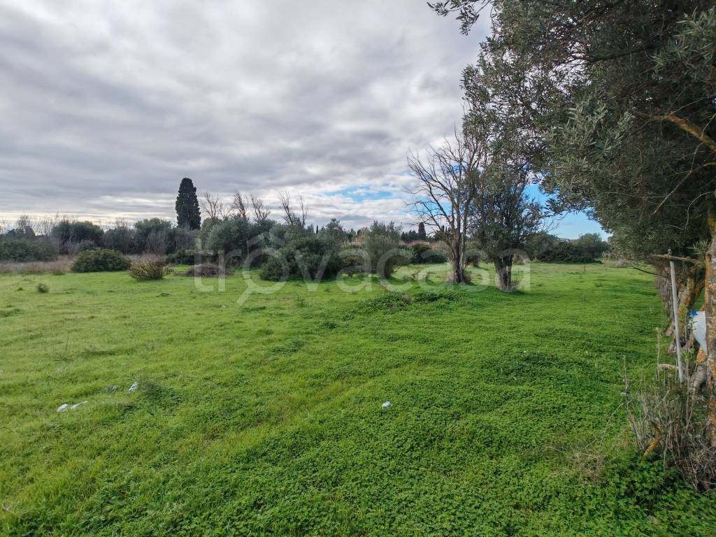 immagine annuncio 9 di 12