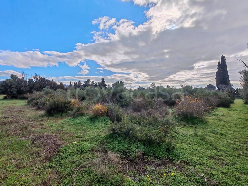 immagine annuncio 11 di 12