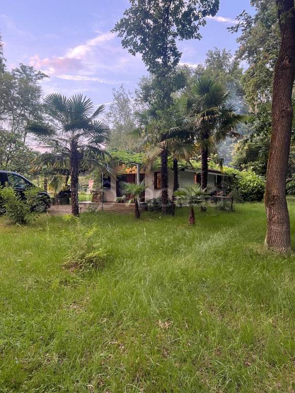 immagine annuncio 11 di 14