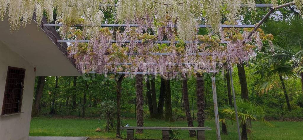 immagine annuncio 12 di 14